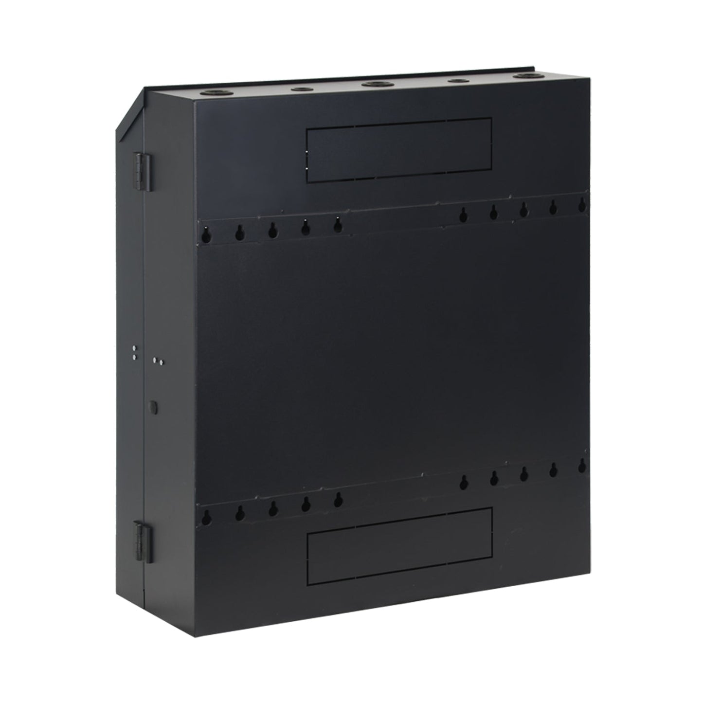 Aeons SWF Series 5U Wall-Mount Rack Cabinet, Mid-Depth, Vertical Mount, Assembled